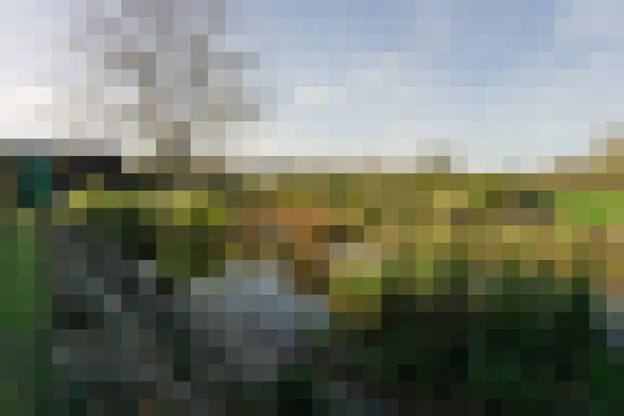 Bergsebaan 83 Bergen op Zoom thumbnail 34