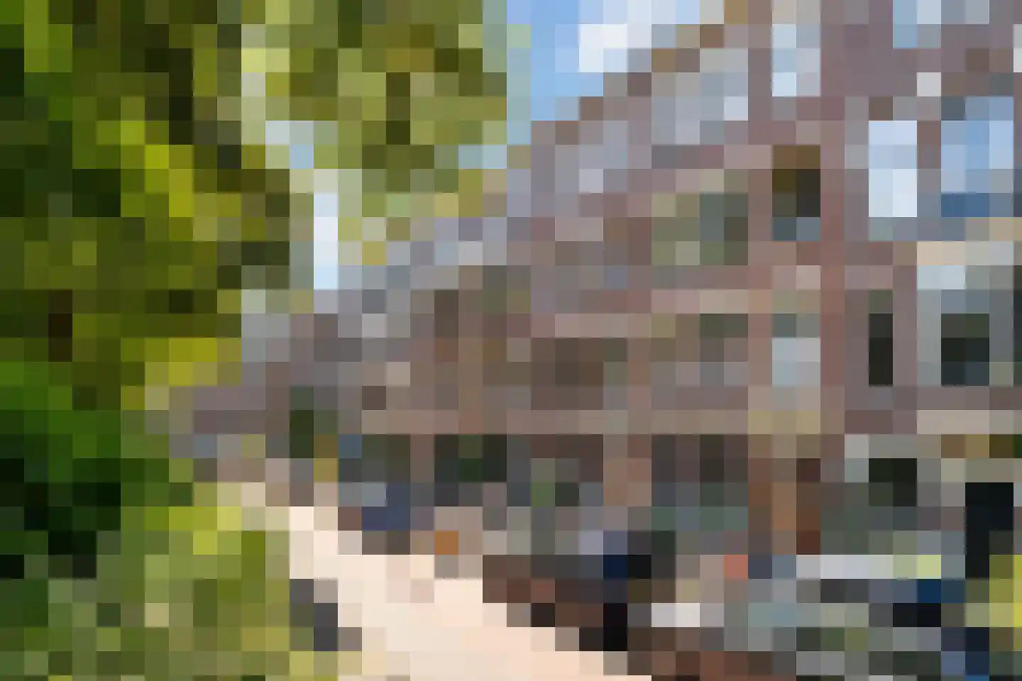 Bergselaan 103 A Rotterdam thumbnail 43
