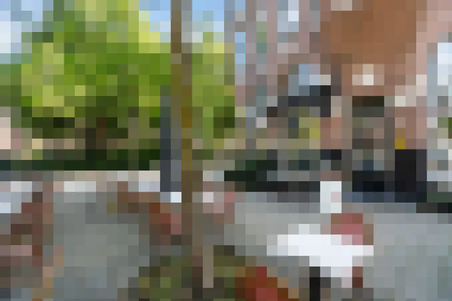Bergselaan 103 A Rotterdam thumbnail 45