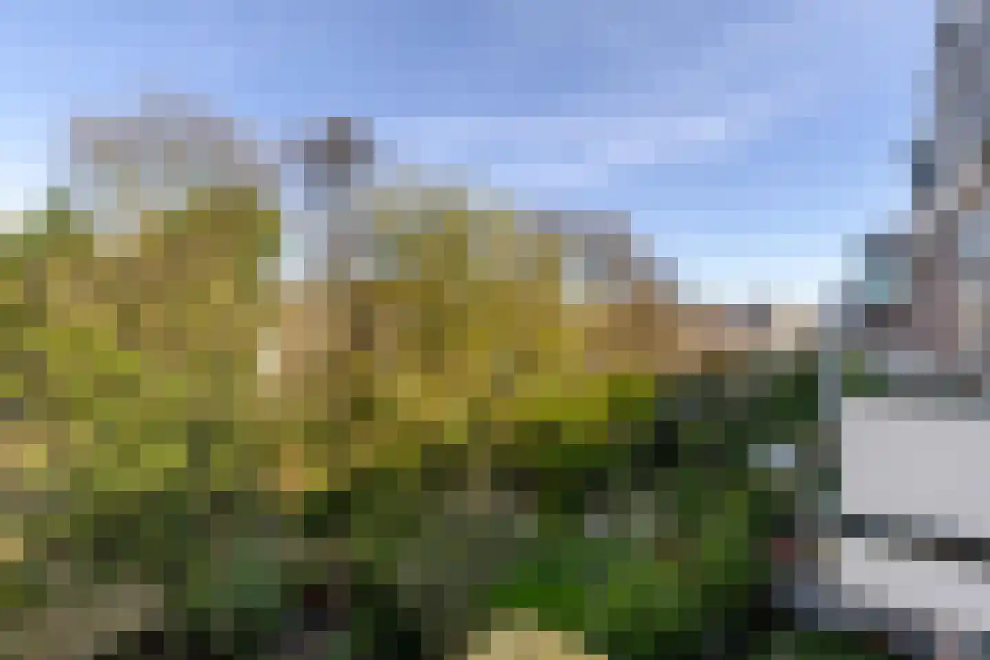 Bergselaan 123 A Rotterdam thumbnail 12