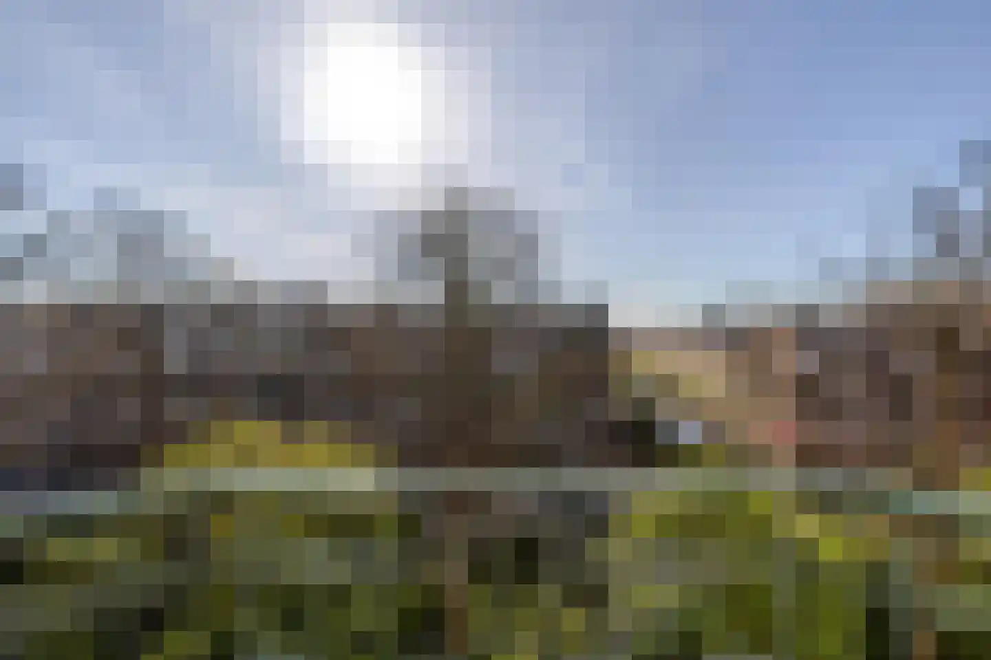 Bergselaan 123 A Rotterdam thumbnail 36