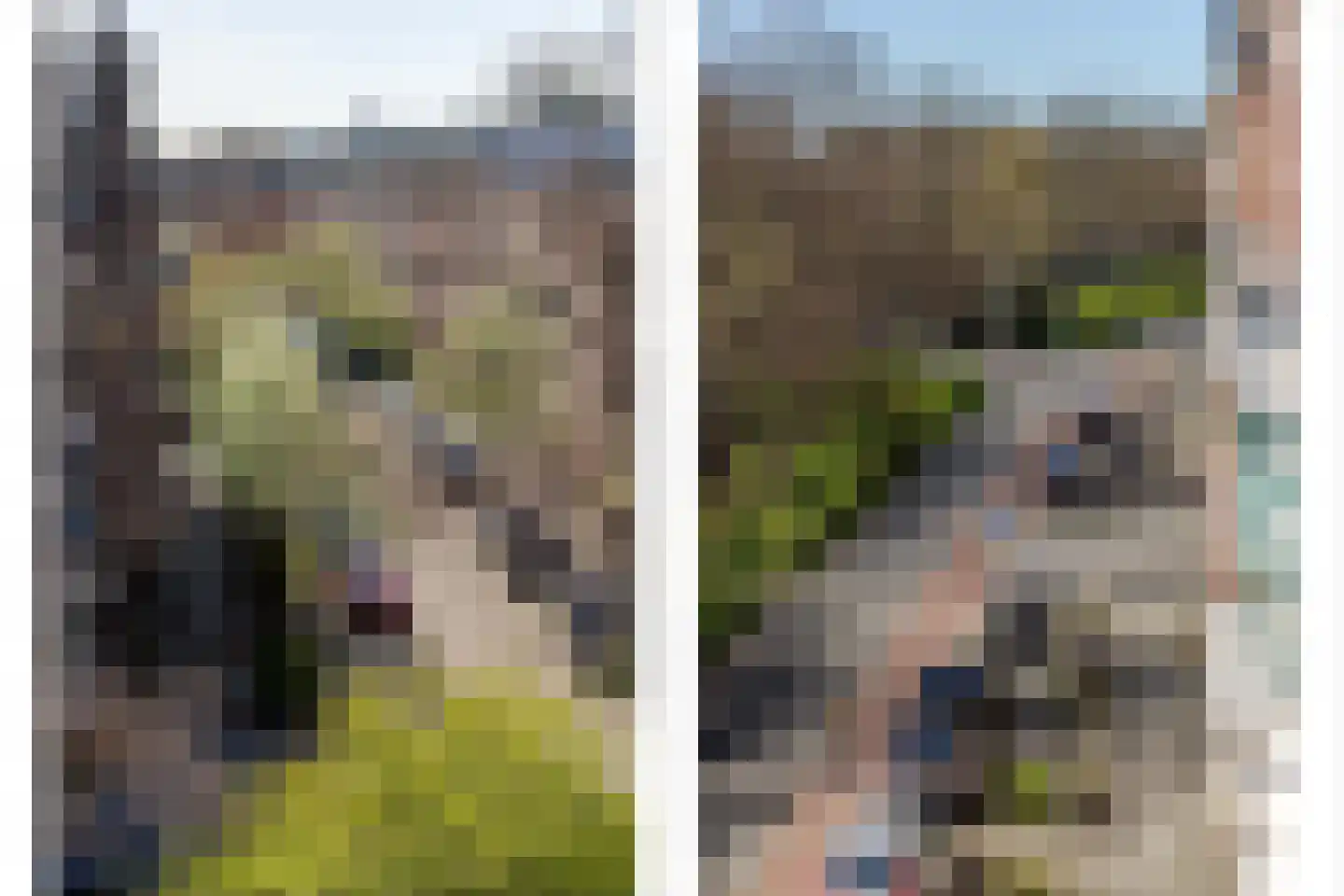 Bergselaan 123 A Rotterdam thumbnail 40