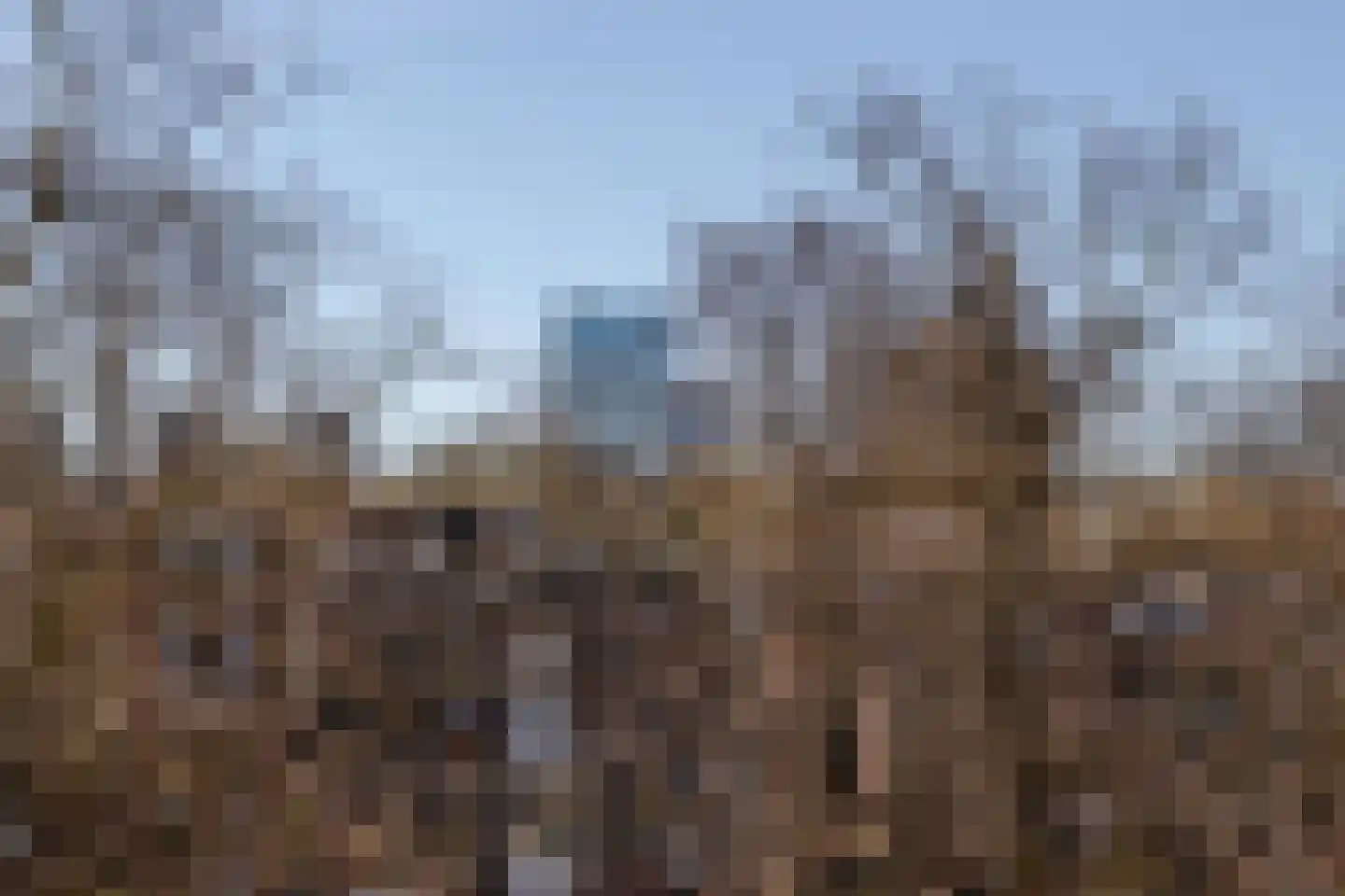 Bergselaan 123 A Rotterdam thumbnail 41