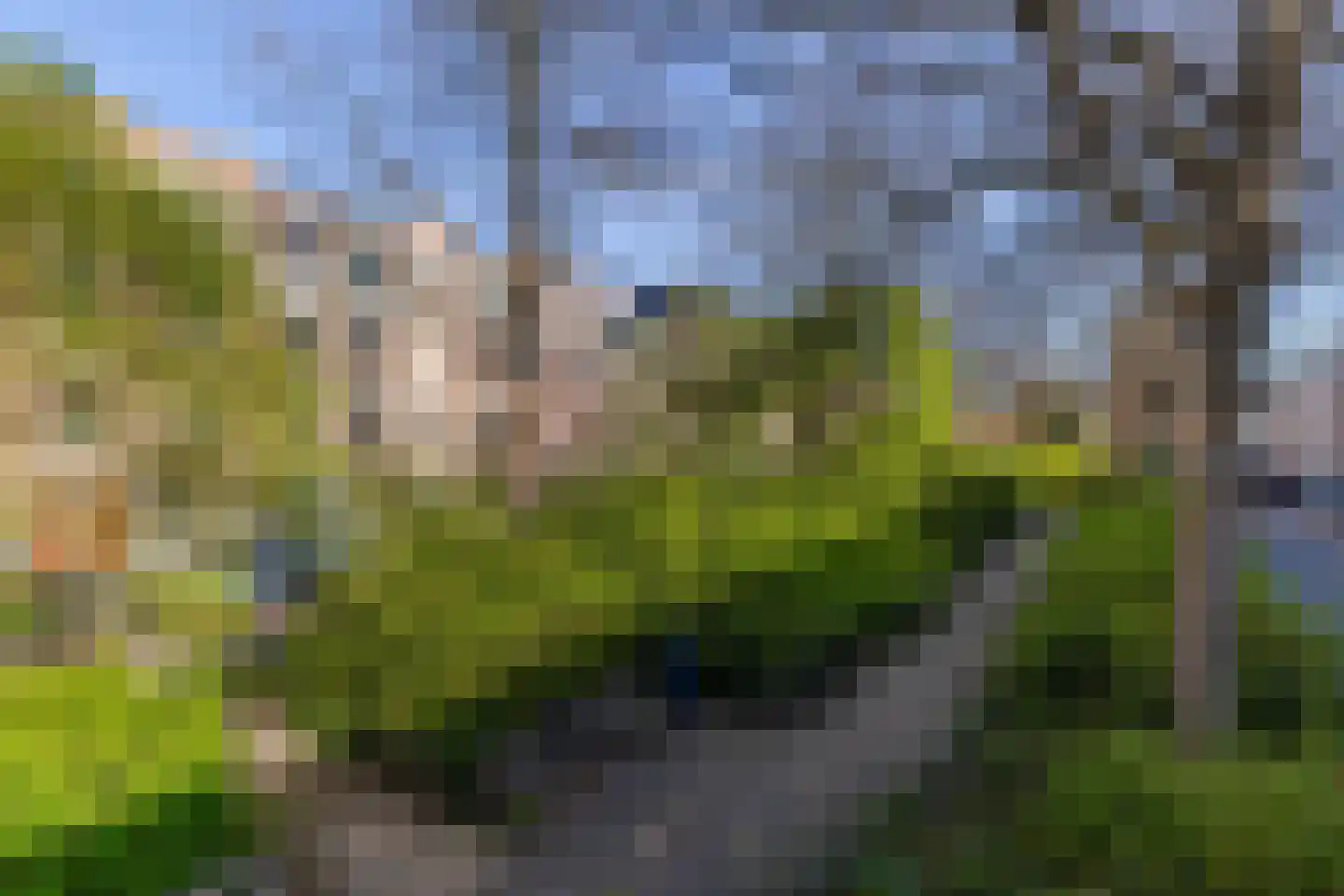 Bergselaan 123 A Rotterdam thumbnail 44