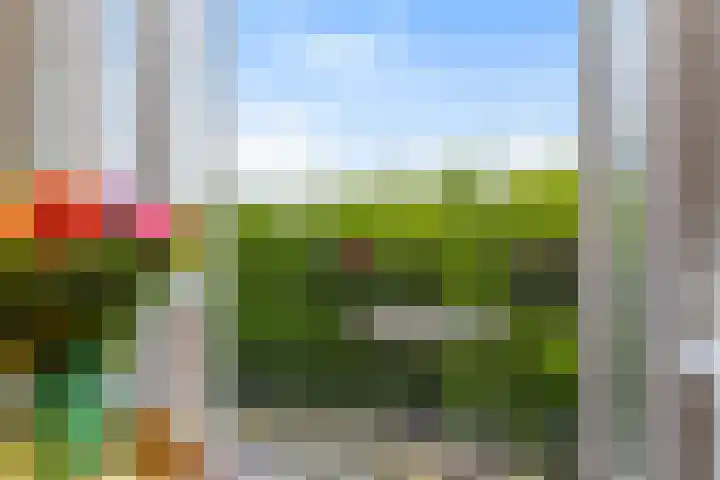 Bergselaan 126 C 02 Rotterdam thumbnail 10
