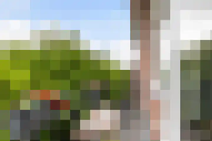 Bergselaan 126 C 02 Rotterdam thumbnail 12
