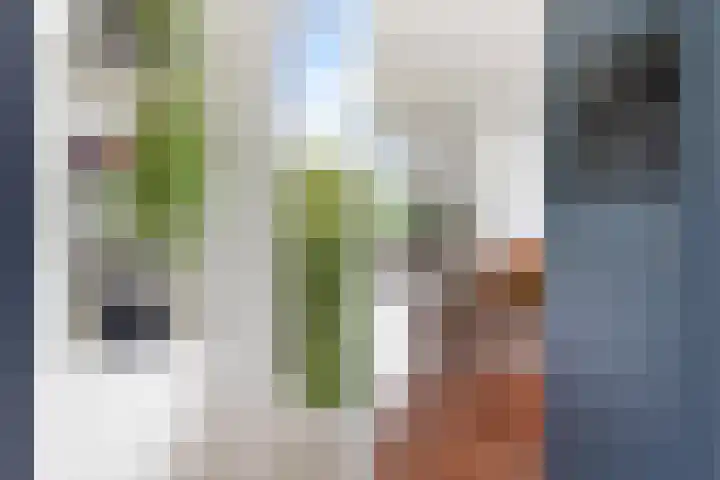 Bergselaan 126 C 02 Rotterdam thumbnail 20