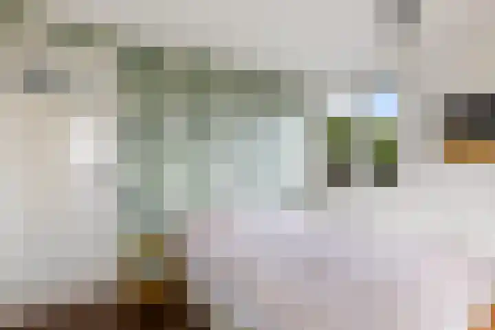 Bergselaan 126 C 02 Rotterdam thumbnail 31