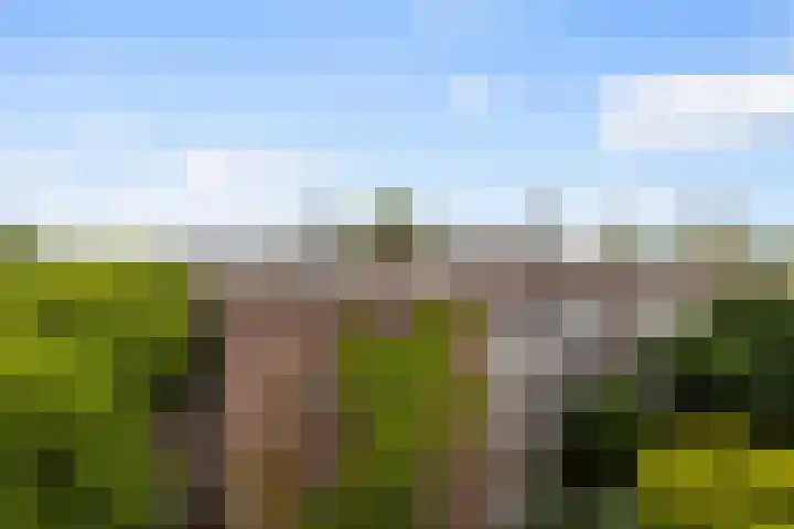 Bergselaan 126 C 02 Rotterdam thumbnail 38