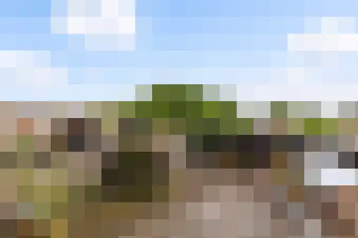 Bergselaan 126 C 02 Rotterdam thumbnail 39