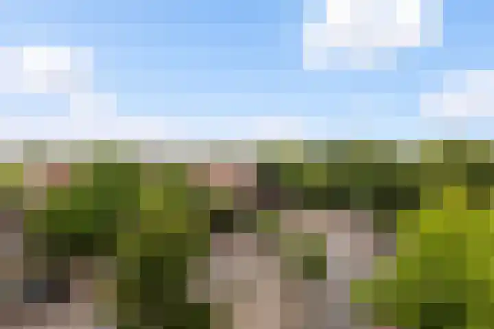 Bergselaan 126 C 02 Rotterdam thumbnail 45