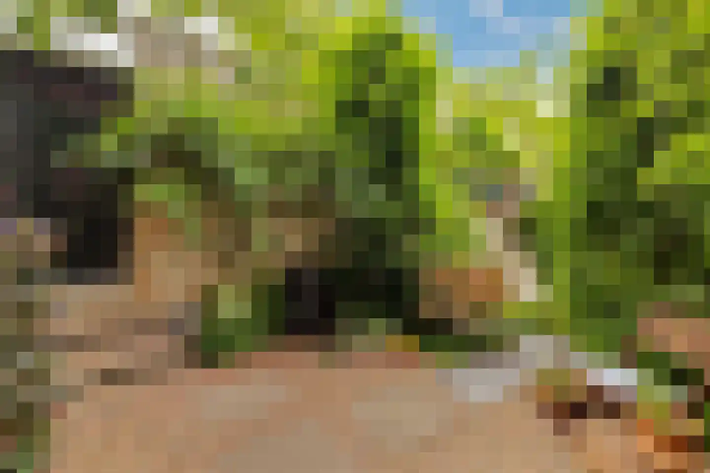 Bergselaan 128 A Rotterdam thumbnail 16