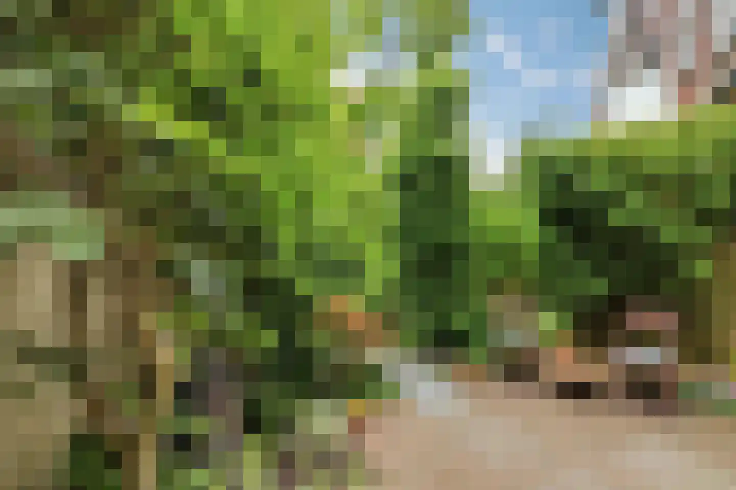 Bergselaan 128 A Rotterdam thumbnail 17