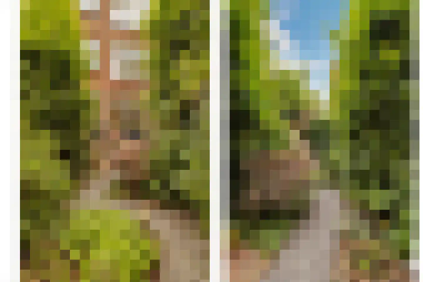 Bergselaan 128 A Rotterdam thumbnail 18