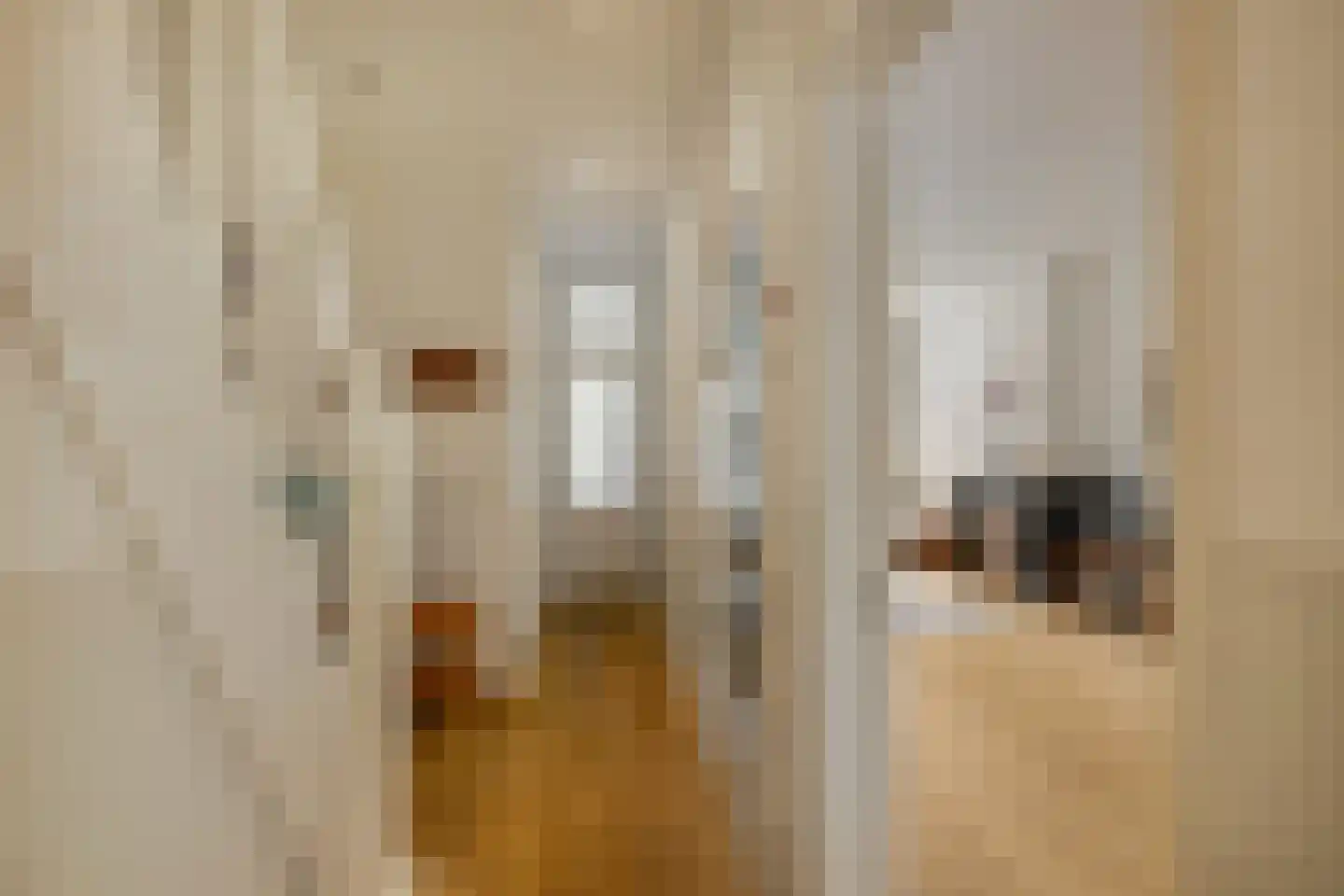Bergselaan 128 A Rotterdam thumbnail 19