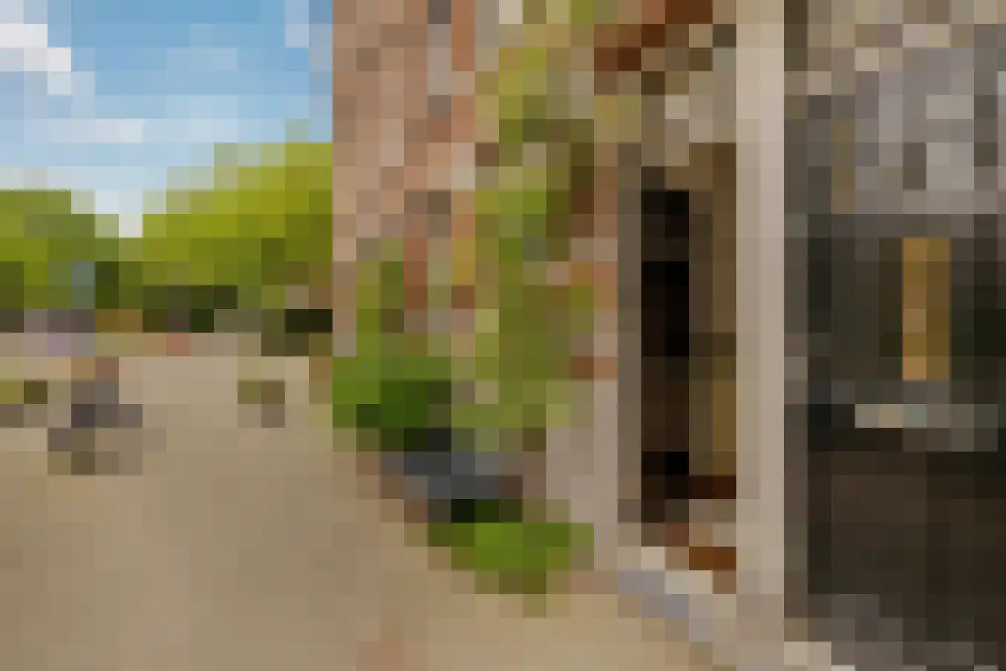 Bergselaan 128 A Rotterdam thumbnail 5