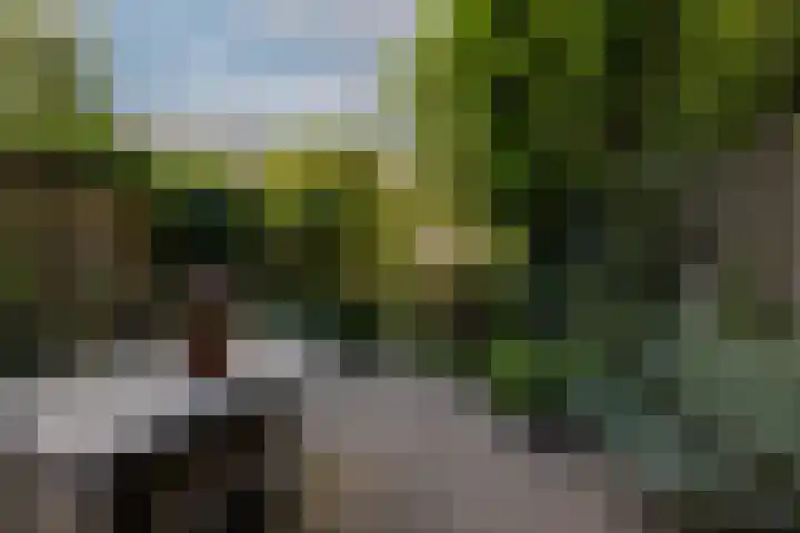 Bergselaan 13 B Rotterdam thumbnail 30