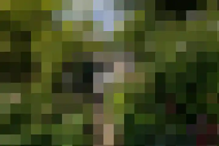 Bergselaan 13 B Rotterdam thumbnail 34