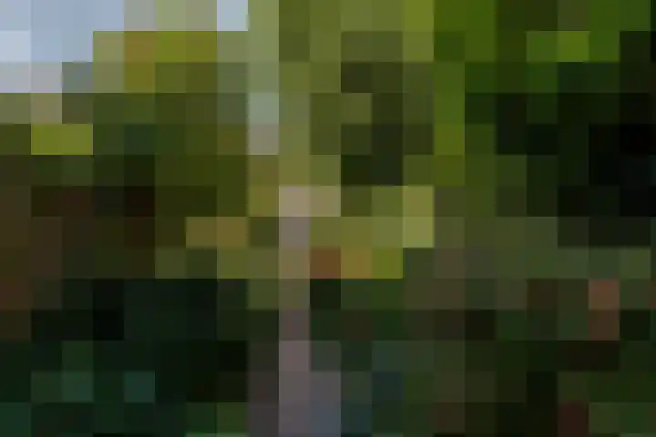 Bergselaan 13 B Rotterdam thumbnail 35