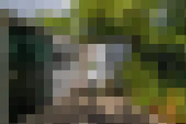 Bergselaan 13 B Rotterdam thumbnail 36