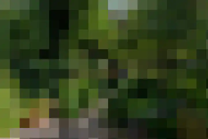 Bergselaan 13 B Rotterdam thumbnail 37