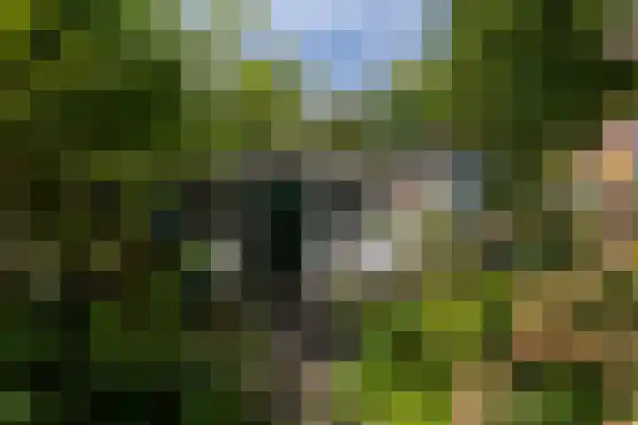 Bergselaan 13 B Rotterdam thumbnail 38