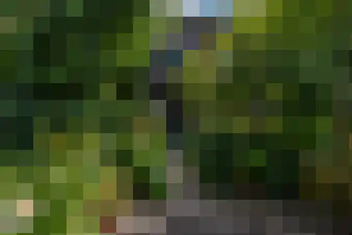 Bergselaan 13 B Rotterdam thumbnail 39