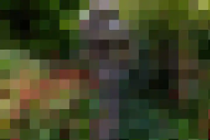 Bergselaan 13 B Rotterdam thumbnail 40