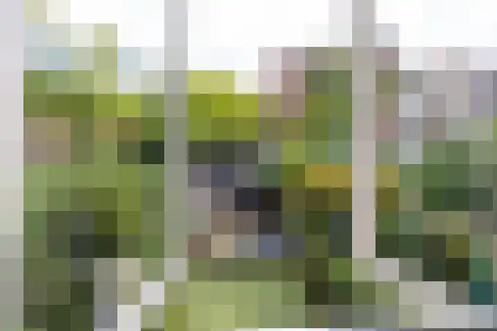 Bergselaan 130 A Rotterdam thumbnail 28
