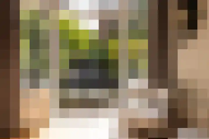 Bergselaan 130 A Rotterdam thumbnail 38