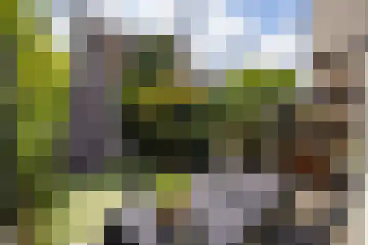 Bergselaan 130 A Rotterdam thumbnail 40