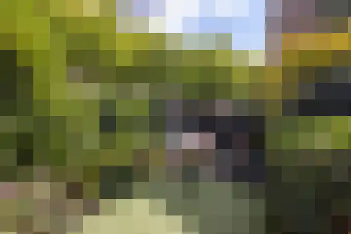 Bergselaan 130 A Rotterdam thumbnail 43
