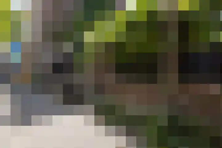 Bergselaan 130 A Rotterdam thumbnail 52
