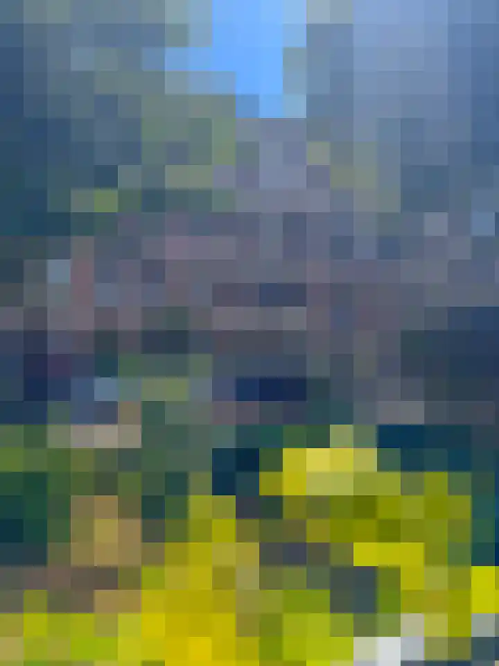 Bergselaan 130 A Rotterdam thumbnail 6