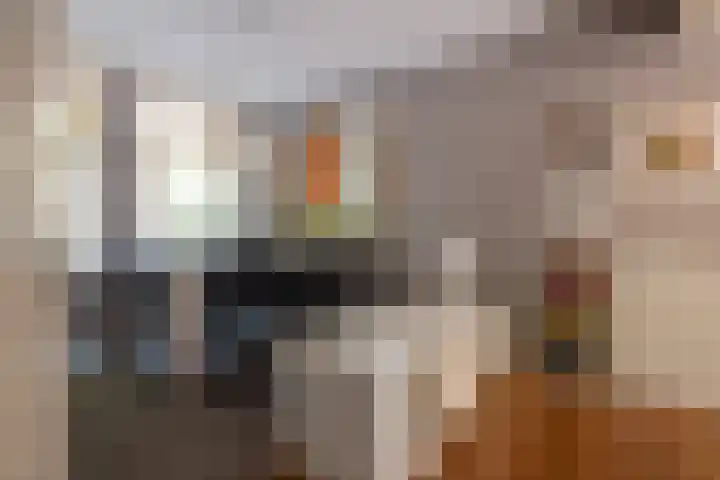 Bergselaan 130 A Rotterdam thumbnail 8