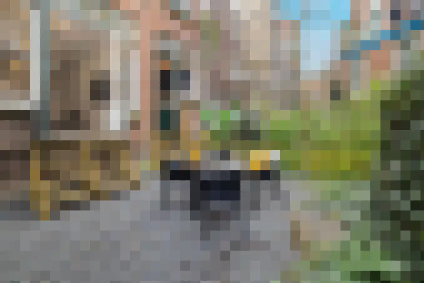 Bergselaan 131 B Rotterdam thumbnail 11