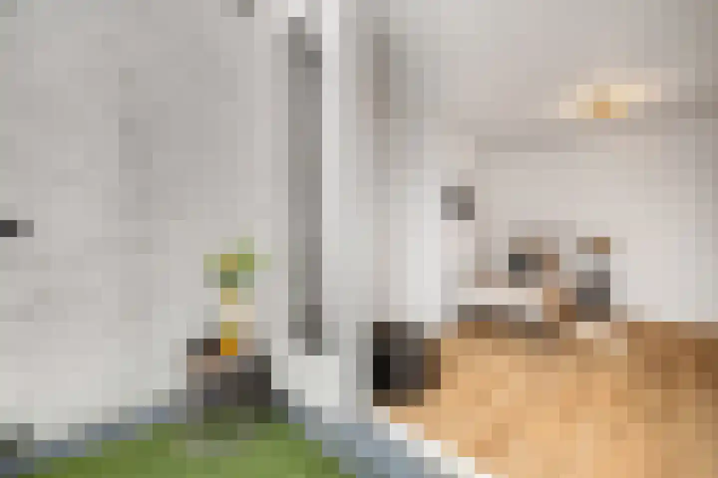 Bergselaan 131 B Rotterdam thumbnail 52
