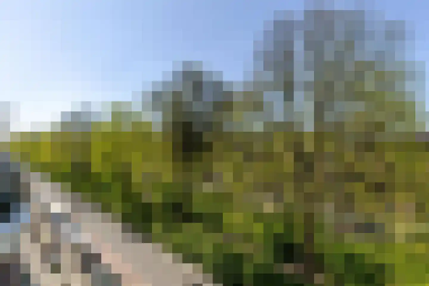 Bergselaan 134 B Rotterdam thumbnail 41