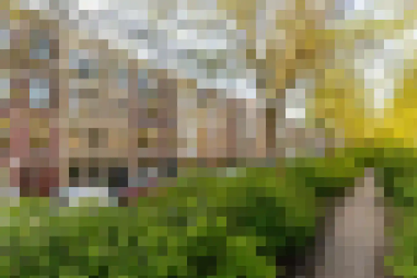 Bergselaan 134 B Rotterdam thumbnail 55