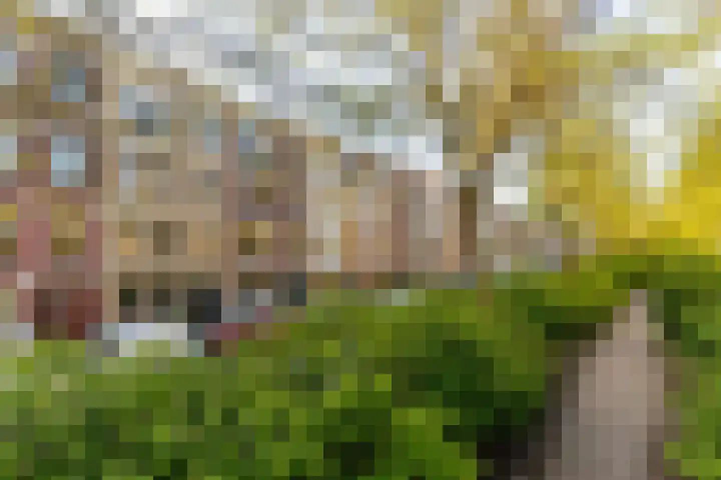 Bergselaan 134 B Rotterdam thumbnail 8