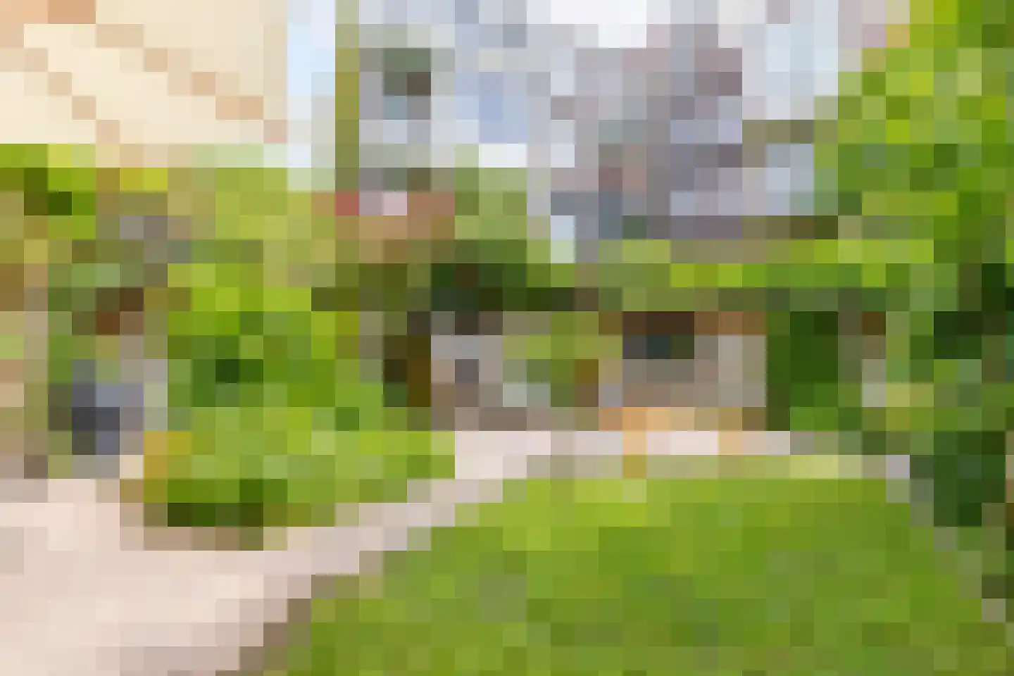 Bergselaan 138 B Rotterdam thumbnail 10