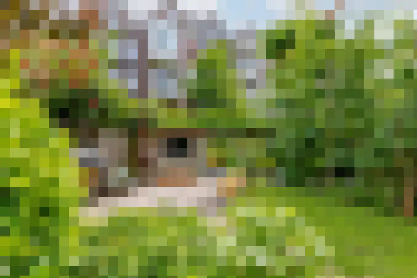 Bergselaan 138 B Rotterdam thumbnail 12
