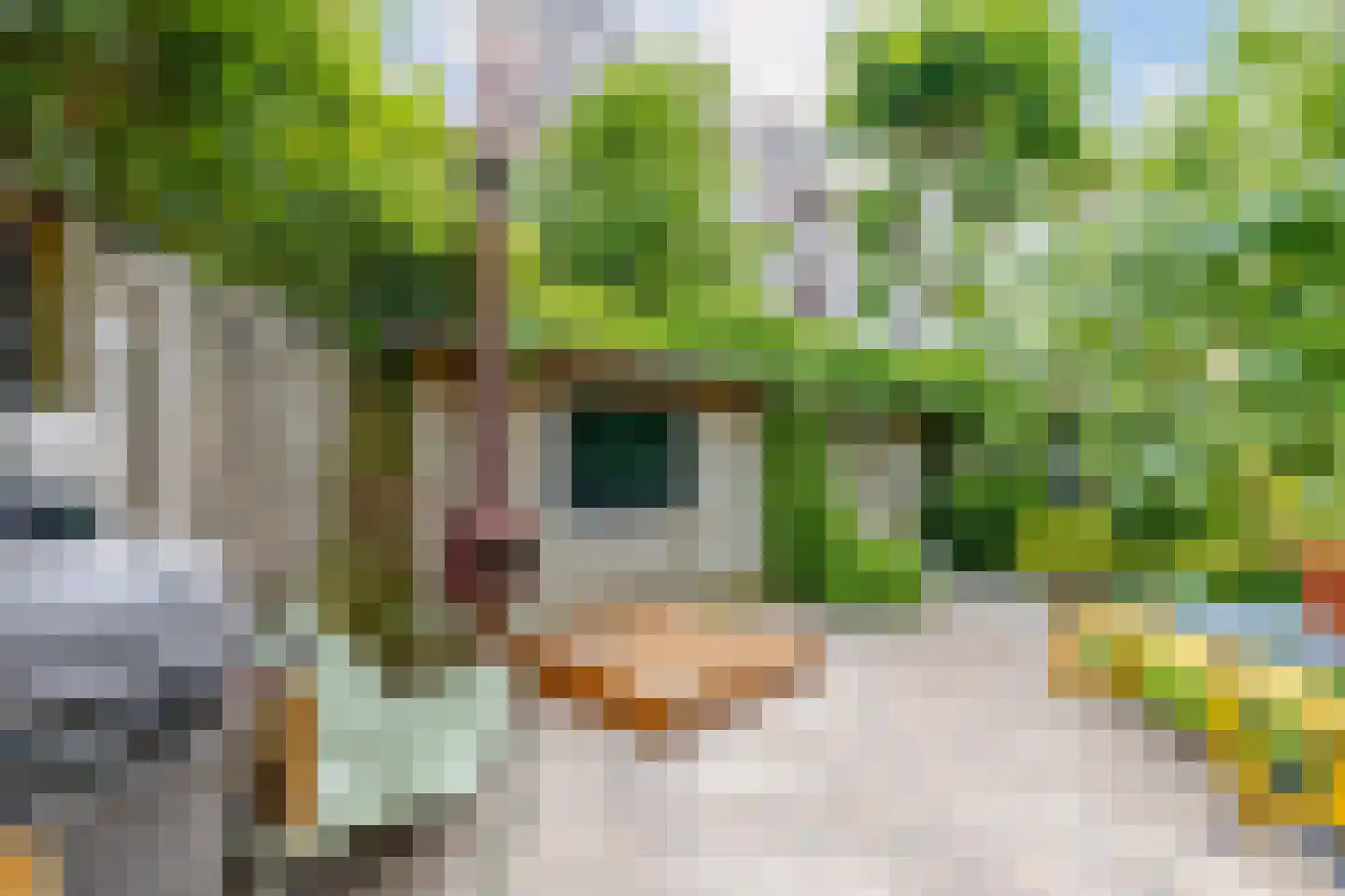 Bergselaan 138 B Rotterdam thumbnail 14