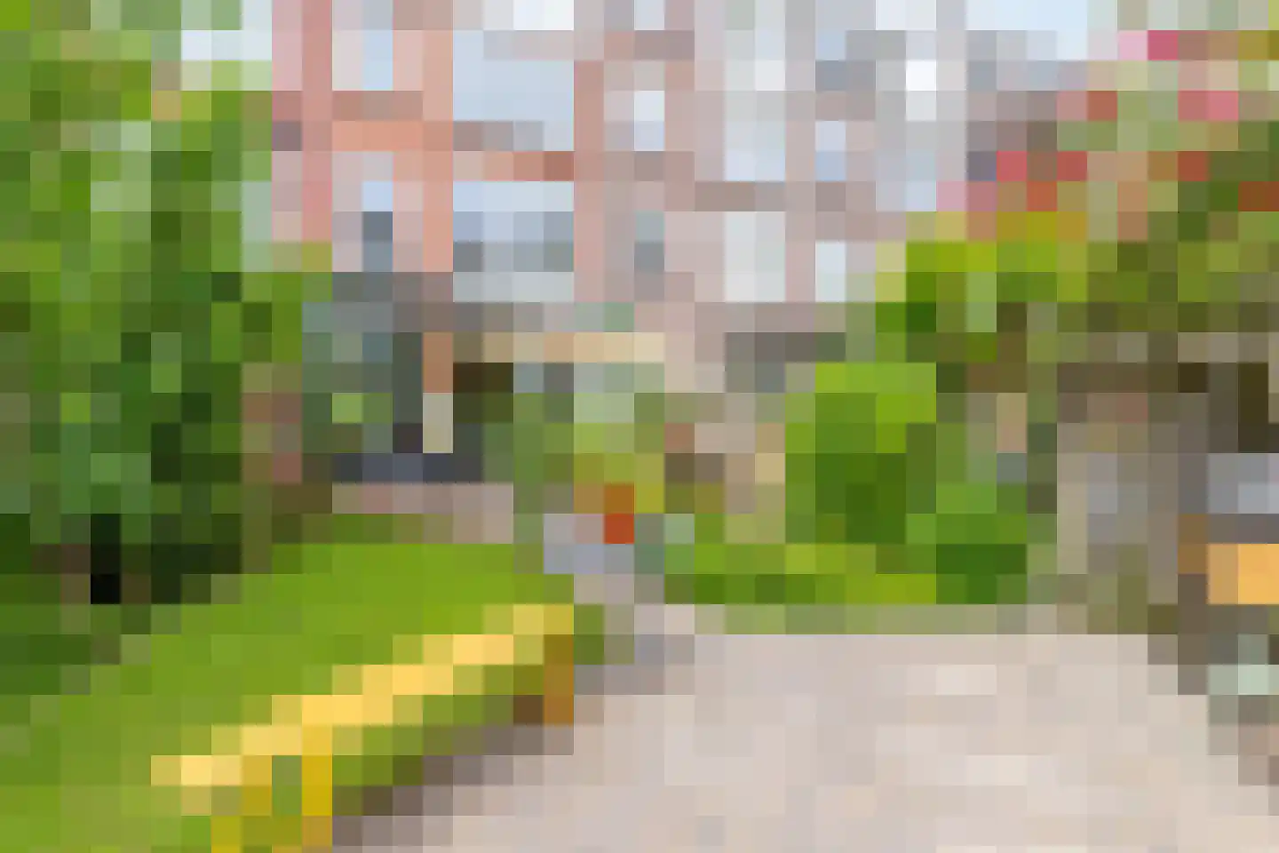 Bergselaan 138 B Rotterdam thumbnail 15