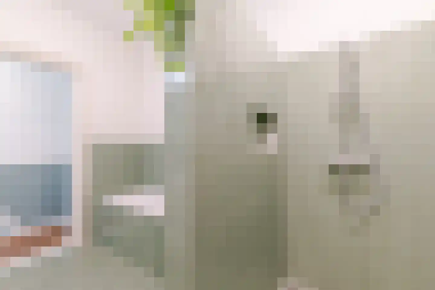 Bergselaan 138 B Rotterdam thumbnail 44