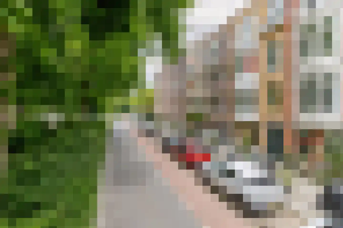 Bergselaan 138 B Rotterdam thumbnail 52