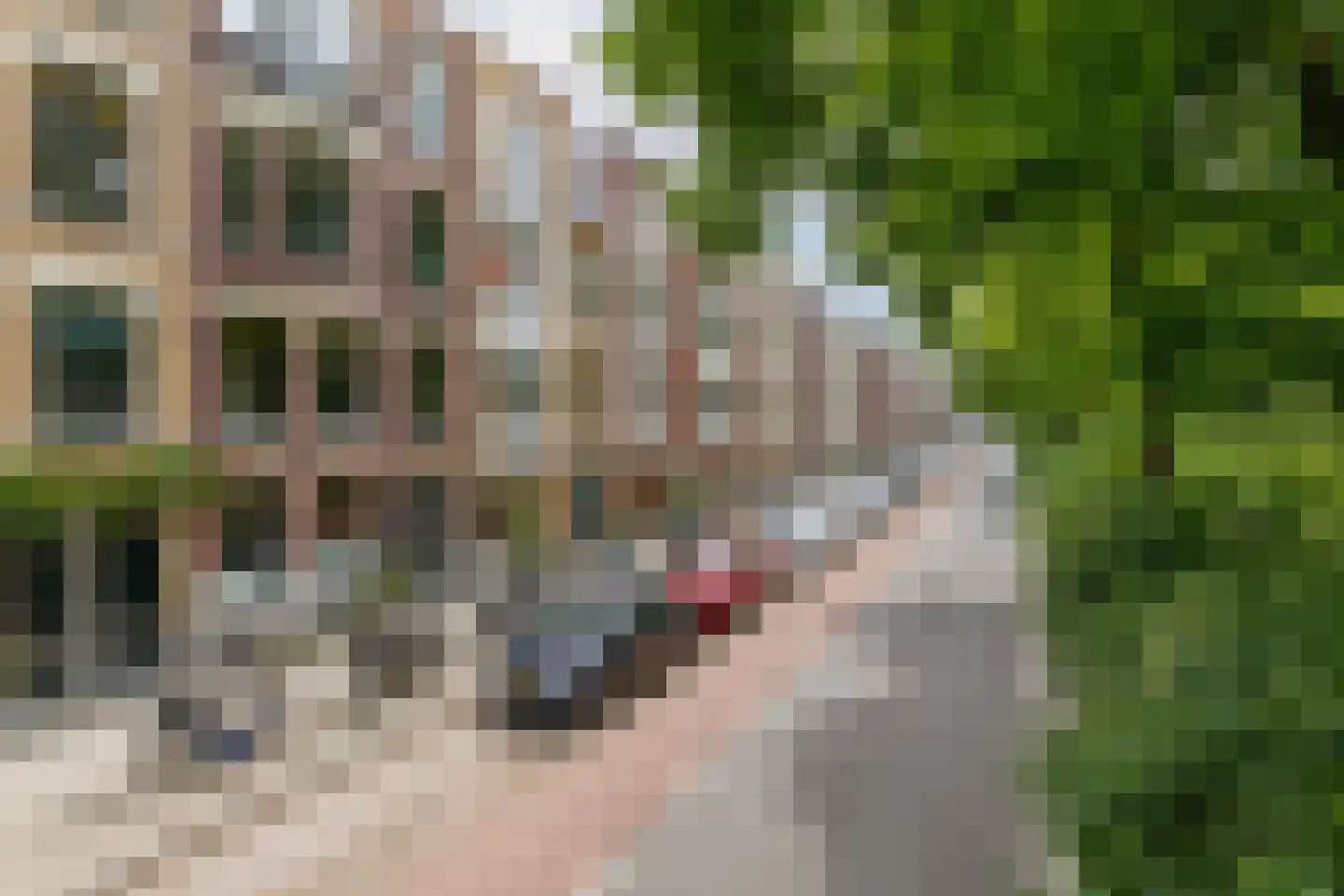 Bergselaan 138 B Rotterdam thumbnail 53