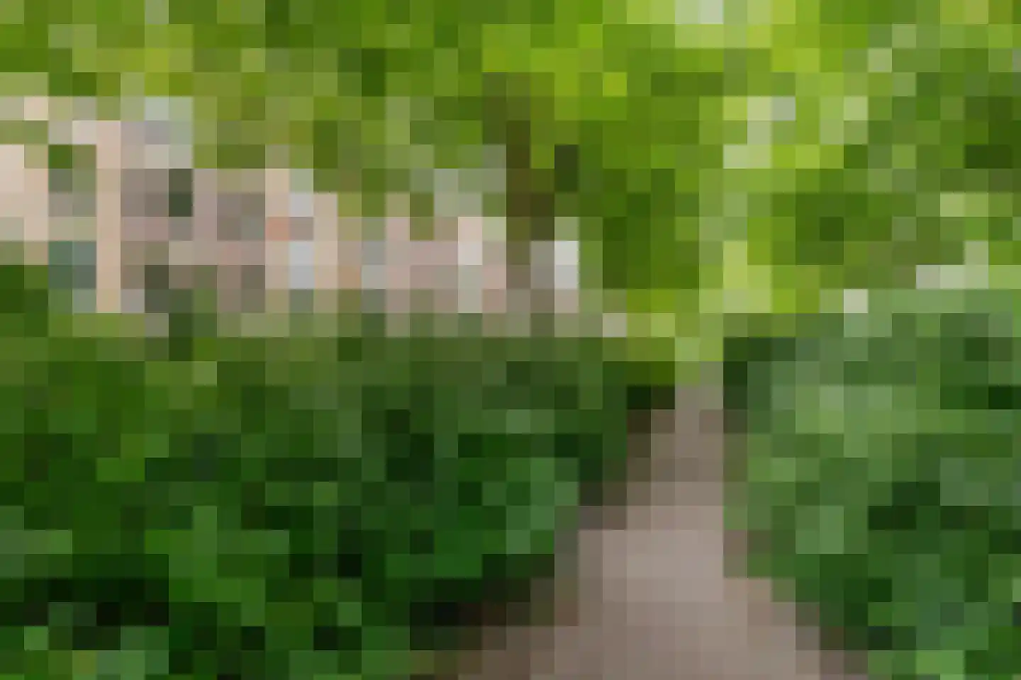 Bergselaan 138 B Rotterdam thumbnail 54