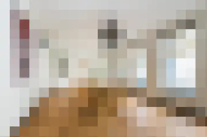 Bergselaan 141 A Rotterdam thumbnail 13