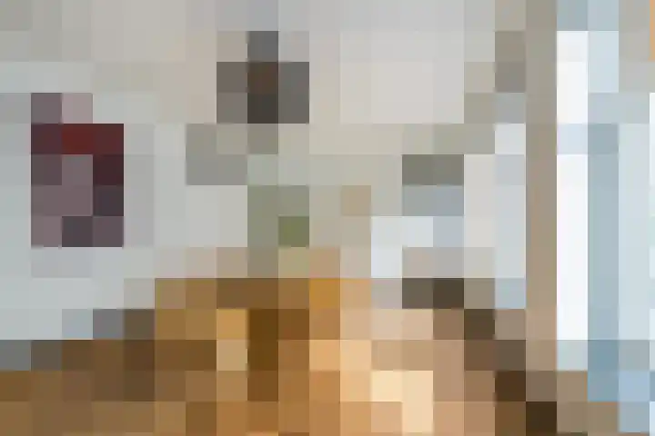 Bergselaan 141 A Rotterdam thumbnail 17